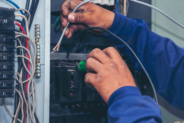 Best Electrical System Inspection  in Fort Davis, TX