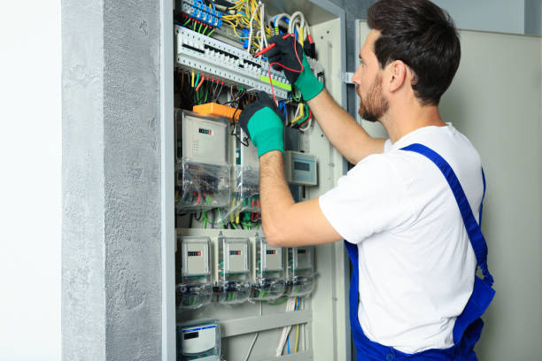 Best Electrical System Inspection  in Fort Davis, TX